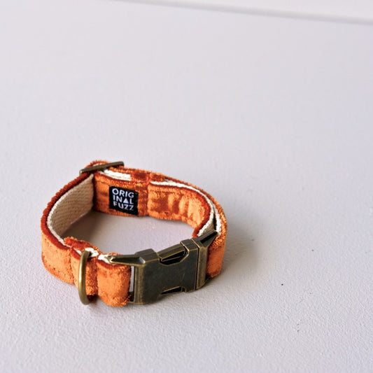 Small Velvet Dog Collar in Orange
